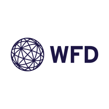 Чем открыть файл wfd